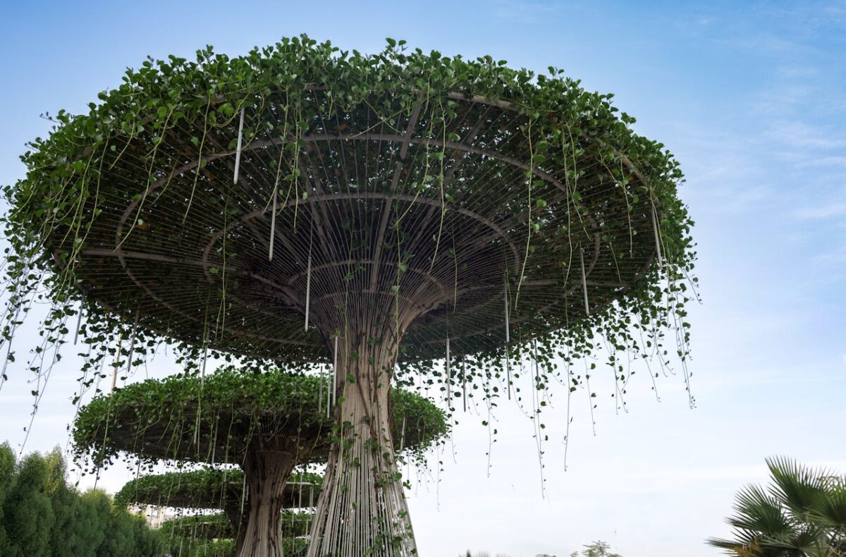gallery-06 Innovative garden design featuring tall structures with cascading green vines against a clear sky.