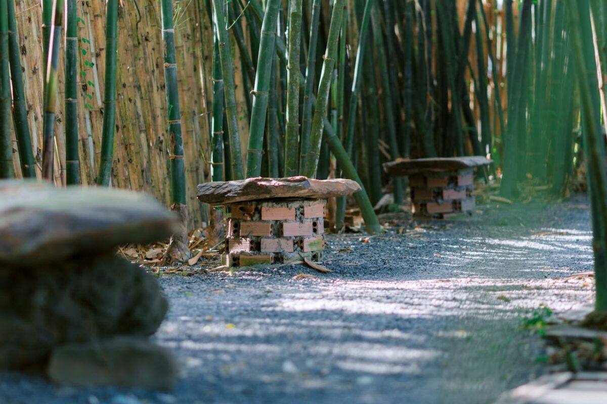 gallery-05 Tranquil bamboo forest path featuring rustic stone benches, inviting relaxation.